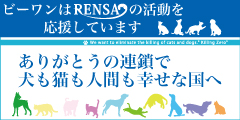 rensa-banner-1